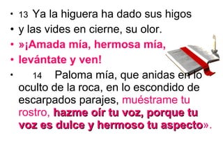 • 13 Ya la higuera ha dado sus higos
• y las vides en cierne, su olor.
• »¡Amada mía, hermosa mía,
• levántate y ven!
• 14 Paloma mía, que anidas en lo
oculto de la roca, en lo escondido de
escarpados parajes, muéstrame tu
rostro, hazme oír tu voz, porque tuhazme oír tu voz, porque tu
voz es dulce y hermoso tu aspectovoz es dulce y hermoso tu aspecto».
 