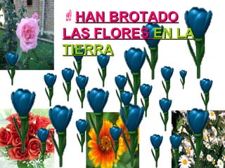 HAN BROTADOHAN BROTADO
LAS FLORESLAS FLORES EN LAEN LA
TIERRATIERRA
 