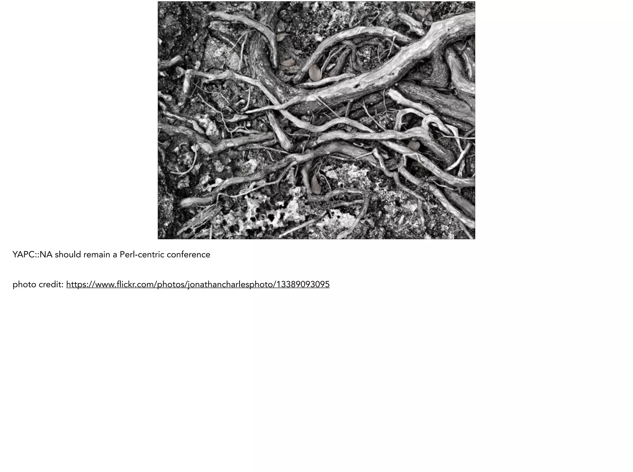 YAPC::NA should remain a Perl-centric conference
!
photo credit: https://www.flickr.com/photos/jonathancharlesphoto/13389093095
 