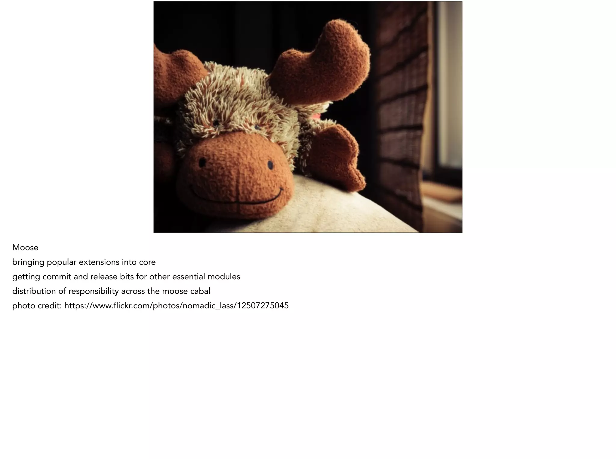 Moose
bringing popular extensions into core
getting commit and release bits for other essential modules
distribution of responsibility across the moose cabal
photo credit: https://www.flickr.com/photos/nomadic_lass/12507275045
 
