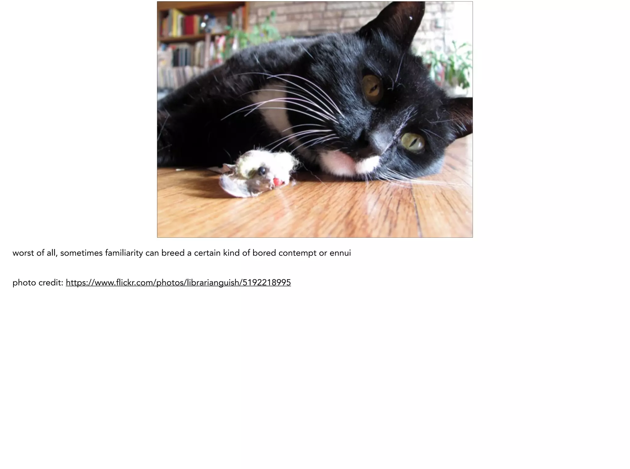 worst of all, sometimes familiarity can breed a certain kind of bored contempt or ennui
!
photo credit: https://www.flickr.com/photos/librarianguish/5192218995
 