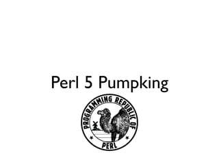 Perl 5 Pumpking
 
