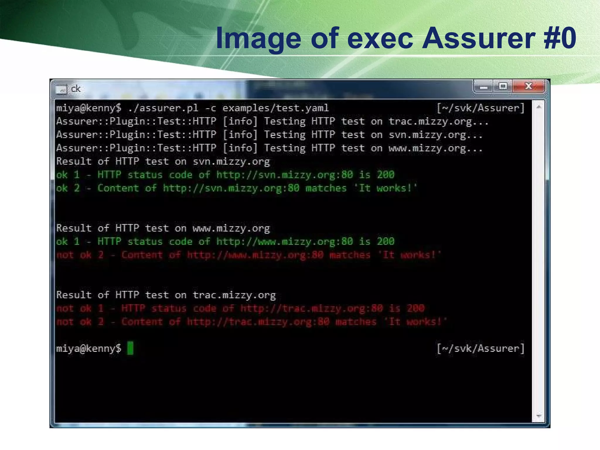Image of exec Assurer #0 