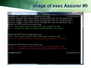 Image of exec Assurer #0 