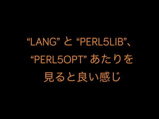 “LANG” と “PERL5LIB”、
“PERL5OPT” あたりを
見ると良い感じ
 
