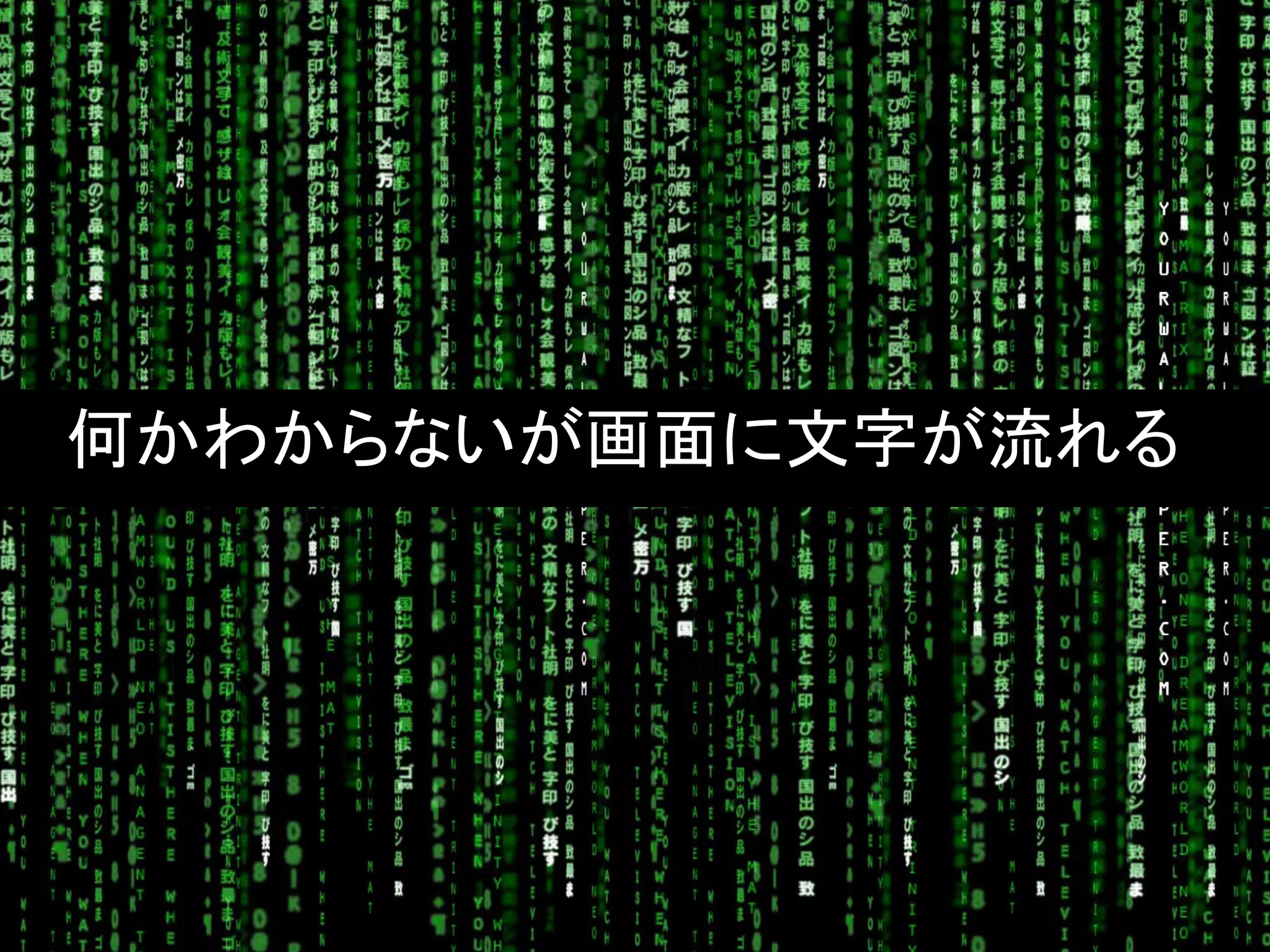 何かわからないが画面に文字が流れる
 