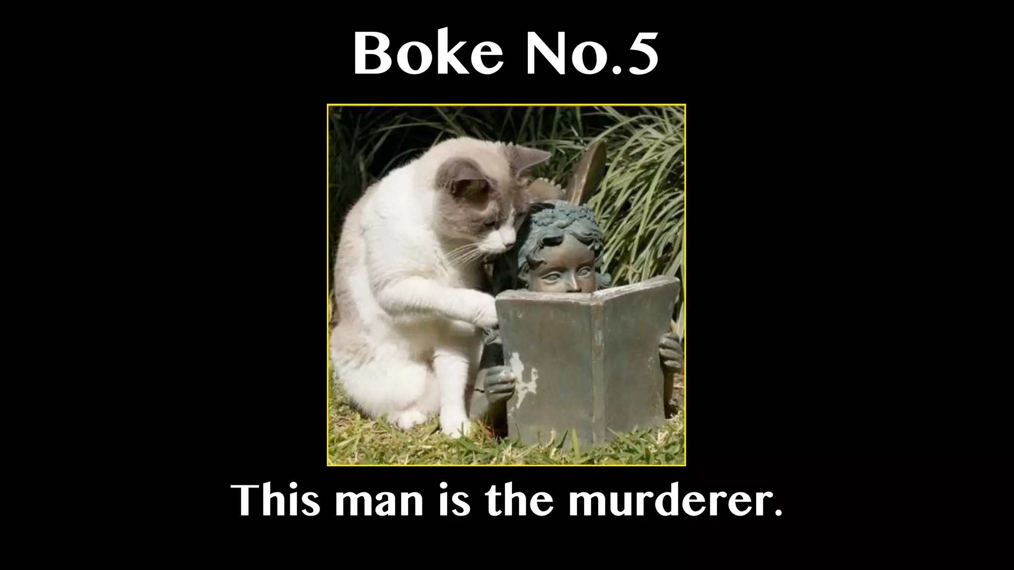 Boke No.5
This man is the murderer.
 
