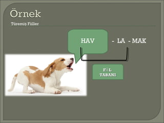 Türemi Fiillerş
HAV - LA - MAK
F LİİF Lİİ
TABANITABANI
 