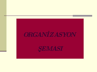 ORGANİZASYON  ŞEMASI 