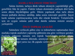 DAMLA SULAMAYI TERCİH ET
        Salata üretimi, tarlaya direk tohum ekimiyle yapılabildiği gibi,
genellikle fide ile yapılır. Fideler tohum ekiminden yaklaşık dört hafta
sonra dikim büyüklüğüne gelir. Dikim yapılacak olan tarla dikim
öncesi pullukla derince sürülüp, daha sonra rotovatör geçirilir. Şayet
karık sulama yapılmayacaksa tarla düz olarak bırakılır. Yetiştiricilik
için en uygun sulama şekli olan damla sulama sistemi araziye
yerleştirilir
                      ÖNCE TOPRAK ANALİZİ
        Salatalara verilecek gübre cins ve miktarlarını saptamadan önce
mutlaka toprak analizleri yaptırılıp gübrenin ona göre verilmesi gerekir.
Fosforlu gübrenin tamamı son toprak hazırlığında pulluk altına,
potasyum sülfatın tamamı dikimde, amonyum sülfatın yarısı dikimden
15 gün sonra, diğer yarısı ise; ilk çapada verilmelidir.
 