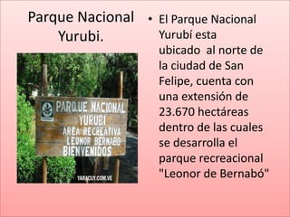 Parque Nacional • El Parque Nacional
    Yurubi.       Yurubí esta
                    ubicado al norte de
                    la ciudad de San
                    Felipe, cuenta con
                    una extensión de
                    23.670 hectáreas
                    dentro de las cuales
                    se desarrolla el
                    parque recreacional
                    "Leonor de Bernabó"
 