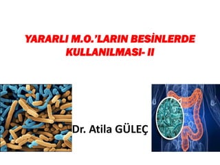 YARARLI M.O.’LARIN BESİNLERDE
KULLANILMASI- II
Dr. Atila GÜLEÇ
 