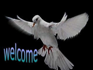 welcome 