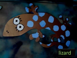 lizard
 