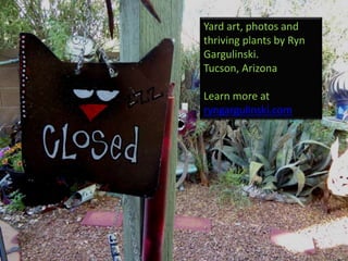 Yard art, photos and
thriving plants by Ryn
Gargulinski.
Tucson, Arizona
Learn more at
ryngargulinski.com
 