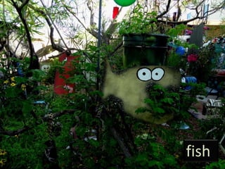 fish
 