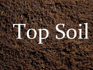 Top Soil 
