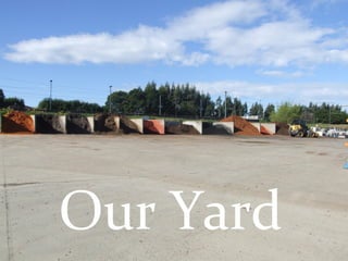 Our Yard 