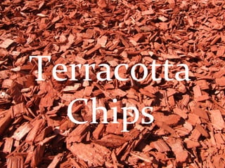 Terracotta Chips 