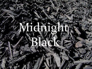 Midnight  Black 