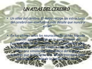 UN ATLAS DEL CEREBRO 
• Un atlas del cerebro. El mapa recoge las estructuras 
del cerebro con muchísimo más detalle que nunca y 
en 3D. 
• En los últimos años los neurocientíficos han logrado 
avances sorprendentes en la comprensión del 
funcionamiento del cerebro. Y en los próximos años, 
el Proyecto Europeo del Cerebro Humano intentará 
crear una simulación informática del órgano, 
mientras que la Iniciativa U.S. BRAIN intentará crear 
una imagen amplia de la actividad cerebral. 
 