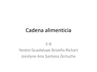 Cadena alimenticia 5-B Yaretzi Guadalupe Briseño Richart Jocelyne Ana Santana Zertuche 