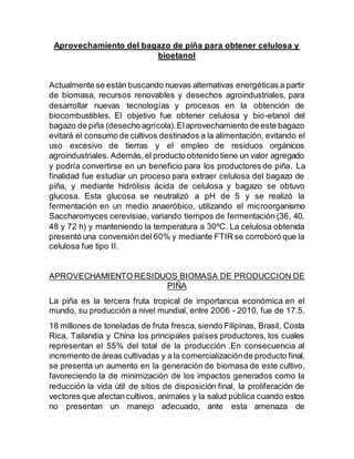 Piña | DOCX
