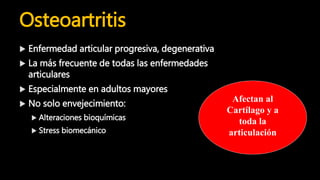 Osteoartritis: Lesiones elementales
Articulaciones Sinoviales
 Disminución del espacio
 Adelgazamiento del cartílago
 L...