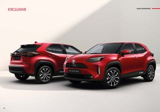 EXCLUSIVE GAMA DISPONÍVEL
20
 