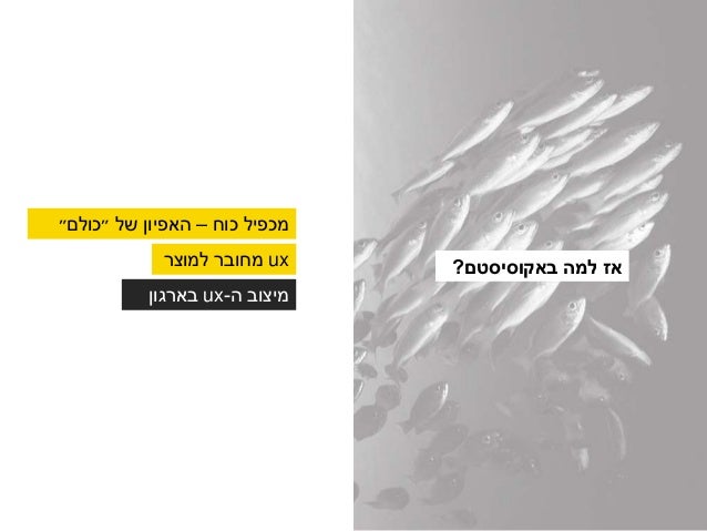 ‫ב‬ ‫אתכם‬ ‫שיתפתי‬...
#1
#2
#3
#4
‫לרוחב‬ ‫הסתכלות‬
data‫למה‬ ‫כמה‬?
‫ה‬‫אקוסיסטם‬‫שלי‬
‫רחוק‬ ‫או‬ ‫קרוב‬?
 