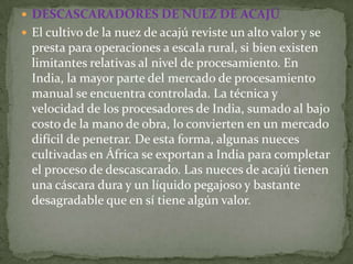  DESCASCARADORES DE NUEZ DE ACAJÚ
 El cultivo de la nuez de acajú reviste un alto valor y se
  presta para operaciones a escala rural, si bien existen
  limitantes relativas al nivel de procesamiento. En
  India, la mayor parte del mercado de procesamiento
  manual se encuentra controlada. La técnica y
  velocidad de los procesadores de India, sumado al bajo
  costo de la mano de obra, lo convierten en un mercado
  difícil de penetrar. De esta forma, algunas nueces
  cultivadas en África se exportan a India para completar
  el proceso de descascarado. Las nueces de acajú tienen
  una cáscara dura y un líquido pegajoso y bastante
  desagradable que en sí tiene algún valor.
 