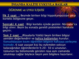 ÖĞRENME ve UYKU İLİŞKİSİ İNSANDA KALİTE UYKUYLA BAŞLAR İlk 2 saat  :  Beyinde biriken bilgi hippokampustan çıkıp korteks bölgesine geçer. Sonraki 4 saat  : Bilgi korteks içinde gezinir. Nöronlar’ca bilgi alınır. Beyin bu esnada gerekli proteinleri harekete geçirir. Son 2 saat   (Rüyalarla Yüklü) beyin biriken bilgiyi yeniden değerlendirir ve  hafıza bağlantıları  kurulur.  Konsolidasyon kısmı   öğrenilen bilginin hafızaya yerleşme kısmıdır . 6 saat uyuyan kişi bu eylemden yoksun kalacağından öğrenilenlerin % 20- 50 si unutulur. Uykunun bu bölümünde görülen rüya aynı zamanda unutmayı sağlar böylece beyin yeni bilgilere hazırlanır.  