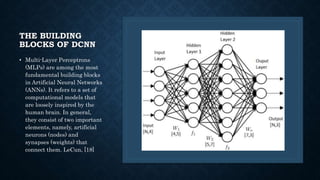 THE BUILDING
BLOCKS OF DCNN
• Multi-Layer Perceptrons
(MLPs) are among the most
fundamental building blocks
in Artificial Neural Networks
(ANNs). It refers to a set of
computational models that
are loosely inspired by the
human brain. In general,
they consist of two important
elements, namely, artificial
neurons (nodes) and
synapses (weights) that
connect them. LeCun, [18]
 
