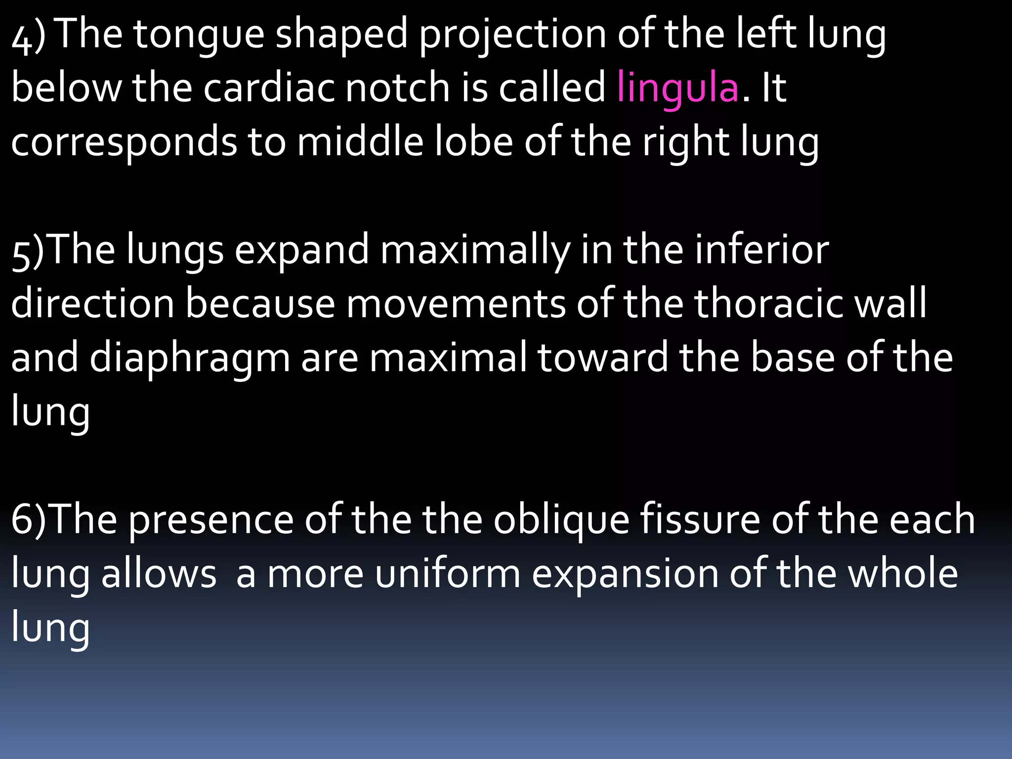 Lungs anatomy | PDF