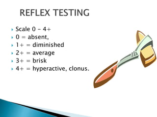 neurological assessment | PPTX