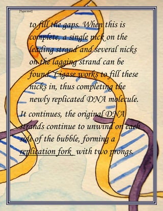 [Type text]
to fill the gaps. When this is
complete, a single nick on the
leading strand and several nicks
on the lagging strand can be
found. Ligase works to fill these
nicks in, thus completing the
newly replicated DNA molecule.
It continues, the original DNA
strands continue to unwind on each
side of the bubble, forming a
replication fork with two prongs.
 