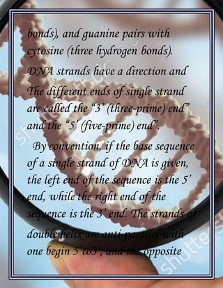 [Type text]
bonds), and guanine pairs with
cytosine (three hydrogen bonds).
DNA strands have a direction and
The different ends of single strand
are called the “3’ (three-prime) end”
and the “5’ (five-prime) end”.
By convention, if the base sequence
of a single strand of DNA is given,
the left end of the sequence is the 5’
end, while the right end of the
sequence is the 3’ end. The strands of
double helix are anti-parallel with
one begin 5’to3’, and the opposite
 