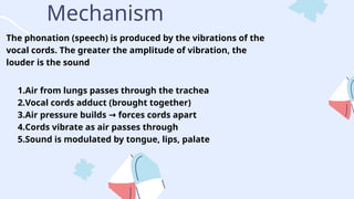 Mech of phonation MBBSfirst year anatomy | PPTX