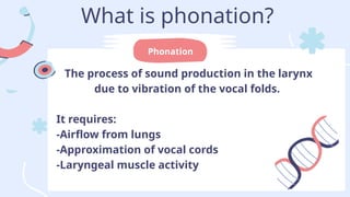 Mech of phonation MBBSfirst year anatomy | PPTX