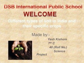 Made by:-
Yash Kishore
7th C
40 (Roll No.)
Science
Project
Different types of soil in India and
their specific crops
 