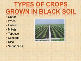 different types of crops in india