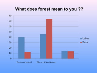 What does forest mean to you ??
 