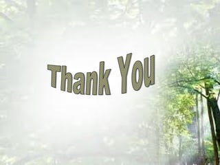 Yash Salunkhe's Citizen Engagement-Pilot project