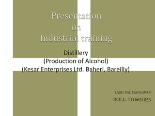 Distillery
(Production of Alcohol)
(Kesar Enterprises Ltd. Baheri, Bareilly)
YASH PAL GANGWAR
ROLL: 1116651053
 
