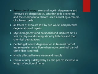 peripheral nerve injury concepts and management | PPTX