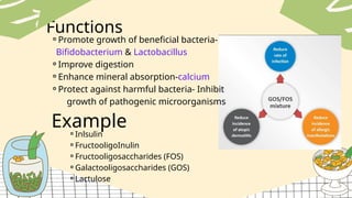Comprehensive Overview of Prebiotics, Probiotics, and Synbiotics for ...