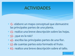 ACTIVIDADES


1).- elabore un mapa conceptual que demuestre
las principales partes de una planta.
2).- realice una breve descripción sobre las hojas.
3).- ¿que es la raíz?
4).- escriba las principales partes de una flor.
5).-de cuantas partes esta formado el fruto.
6).- realice una breve descripción sobre el tallo.
                                               TEMAS
 