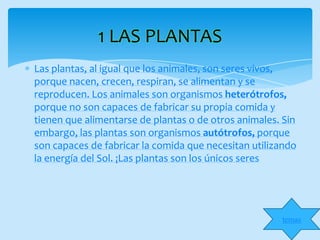 1 LAS PLANTAS
Las plantas, al igual que los animales, son seres vivos,
porque nacen, crecen, respiran, se alimentan y se
reproducen. Los animales son organismos heterótrofos,
porque no son capaces de fabricar su propia comida y
tienen que alimentarse de plantas o de otros animales. Sin
embargo, las plantas son organismos autótrofos, porque
son capaces de fabricar la comida que necesitan utilizando
la energía del Sol. ¡Las plantas son los únicos seres




                                                      temas
 