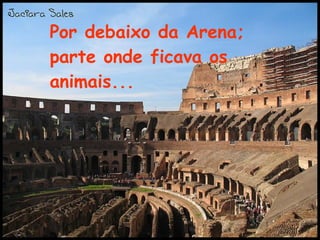 Por debaixo da Arena; parte onde ficava os animais... 