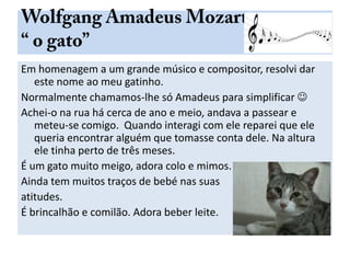 Em homenagem a um grande músico e compositor, resolvi dar
este nome ao meu gatinho.
Normalmente chamamos-lhe só Amadeus para simplificar 
Achei-o na rua há cerca de ano e meio, andava a passear e
meteu-se comigo. Quando interagi com ele reparei que ele
queria encontrar alguém que tomasse conta dele. Na altura
ele tinha perto de três meses.
É um gato muito meigo, adora colo e mimos.
Ainda tem muitos traços de bebé nas suas
atitudes.
É brincalhão e comilão. Adora beber leite.

 